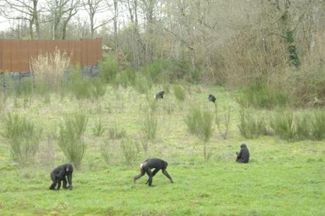Viens en Vienne dormir dans des cabanes et profiter de la nature!