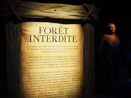harry-potter-expo-cite-du-cinema-10