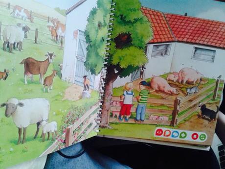 Lire un livre avec un stylo interactif avec Tiptoi®