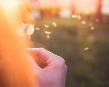 Bientôt de nouveaux articles !