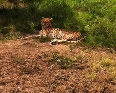 Après-midi au Zoo de Pessac !
