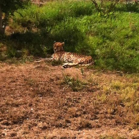 Après-midi au Zoo de Pessac !