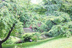 A la découverte du musée Albert Kahn