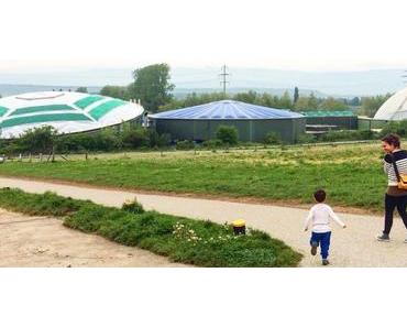 Une journée en famille au Papiliorama de Kerzers