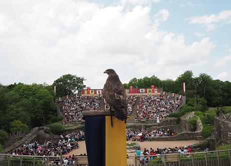 Puy du Fou Phantom Birds Show