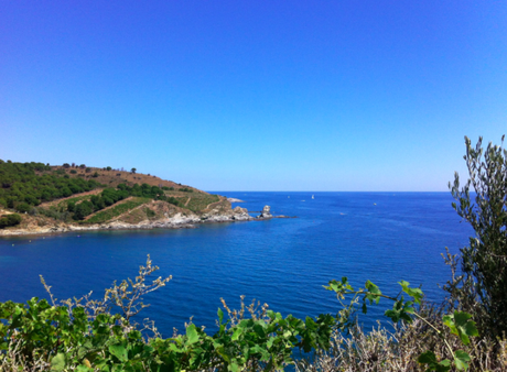 La côte Vermeille : Port Vendres, Collioure, Banyuls.