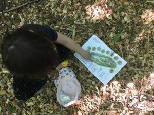 Activités en plein air en famille, pour le printemps et l’été