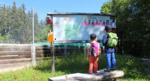 Randonnée en famille au sentier des Lutins aux Collons
