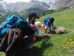 Randonnée en famille : à la découverte des marmottes de Saas-Fee