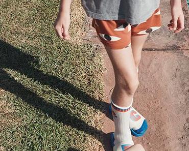 Bobo Choses For President